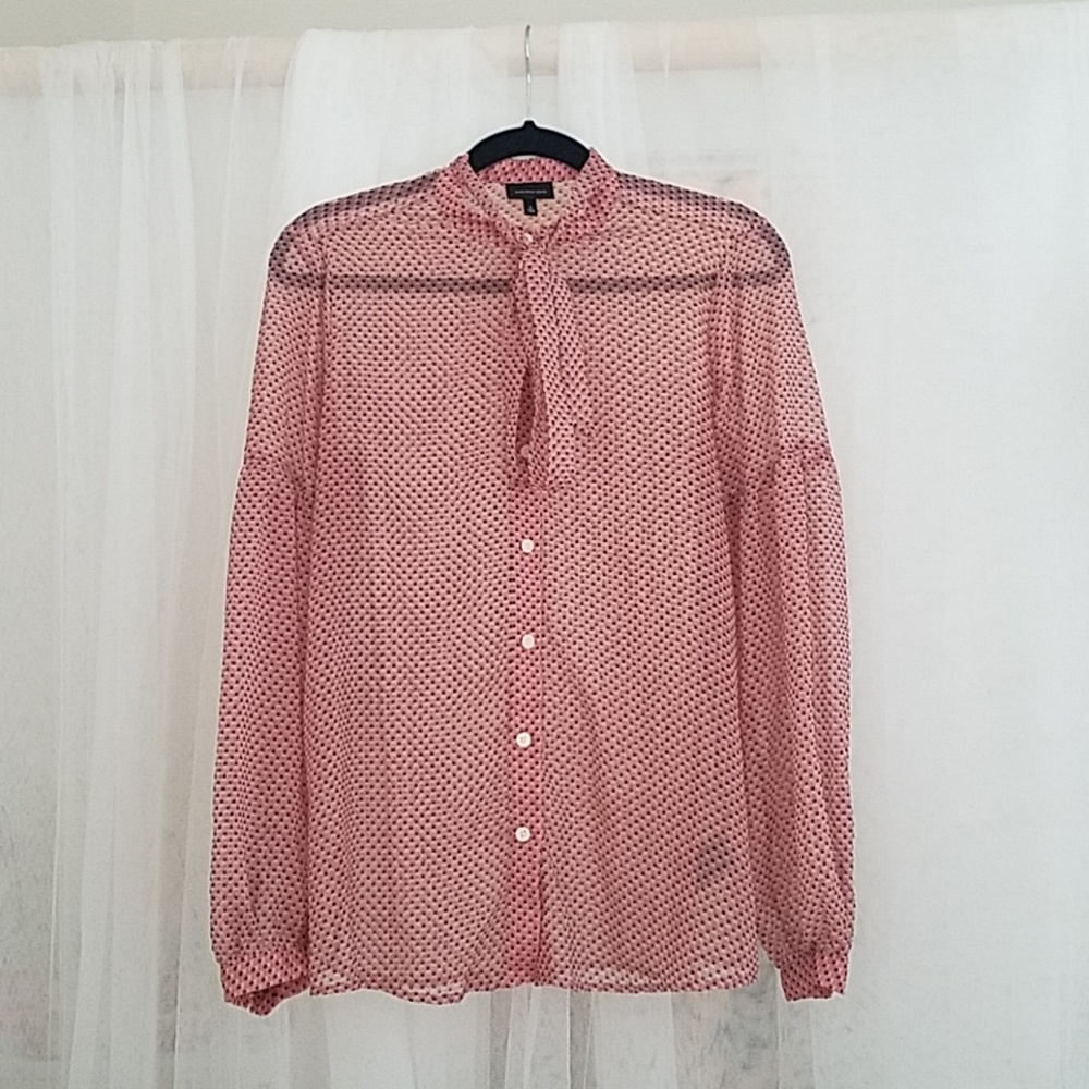 Sheer Blouse with Neck Tie